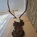 Pod Piorem Bed & Breakfast Zakopane