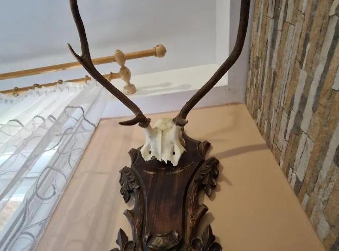 Pod Piorem Couette-café Zakopane