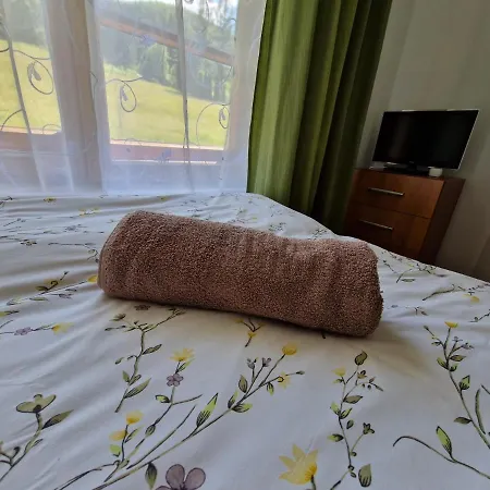 Pod Piorem Panzió Zakopane