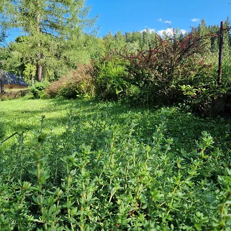 Pod Piorem Panzió 3*