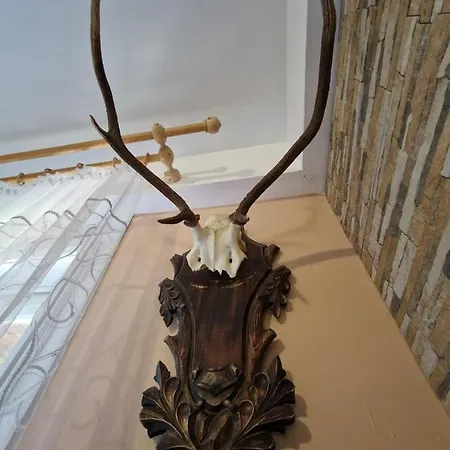 Pod Piorem Panzió Zakopane