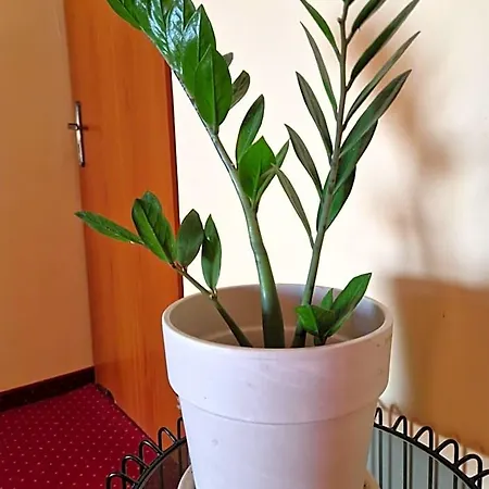 Pod Piorem Отель типа 