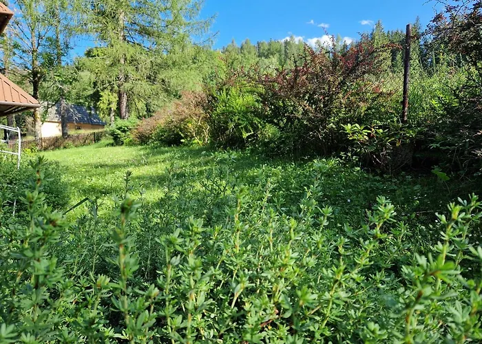 Pod Piórem Bed and breakfast 3*