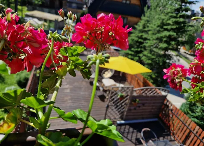 住宿加早餐酒店 皮奥雷姆旅馆 3*